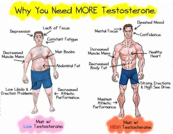 why-you-need-more-testosterone
